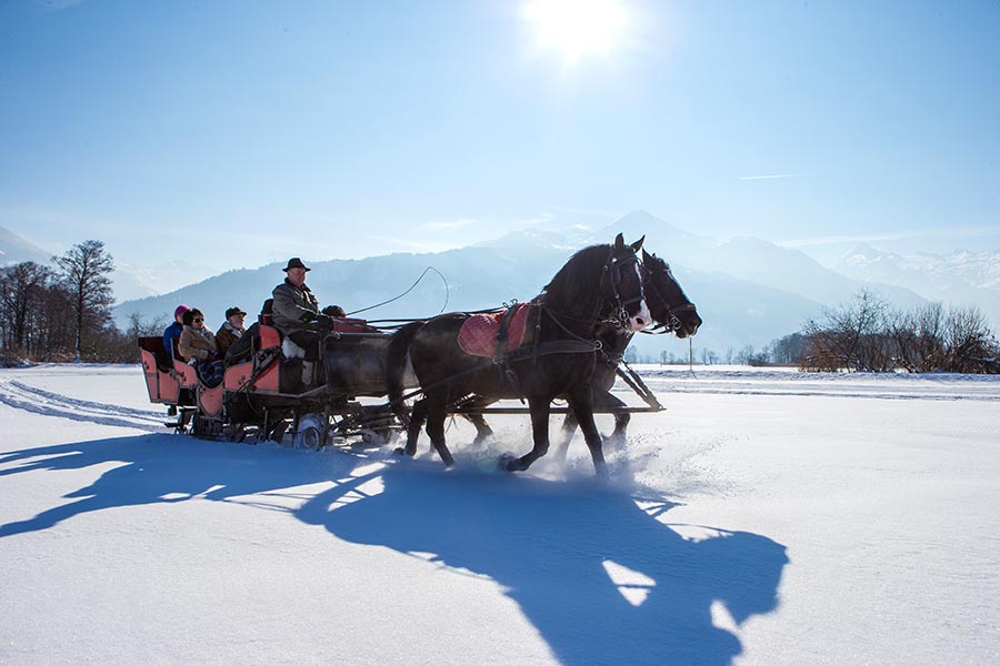 Winter   Pferdeschlittenfahrt In Atemberaubender Kulisse